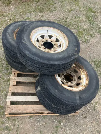 One tire NFG 100$ takes them all