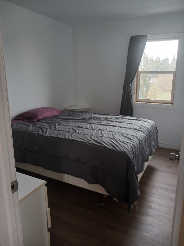 Private Room for Rent in Room Rentals & Roommates in Charlottetown - Image 4