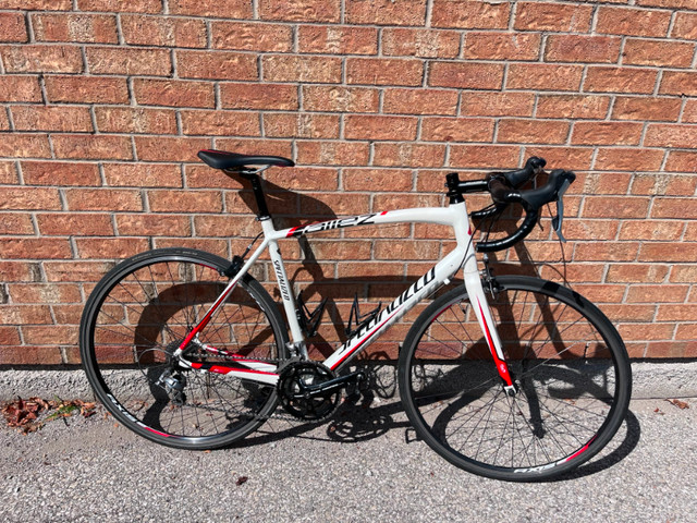 Specialized Allez Elite (58 CM) Endurance Road Bike | Other