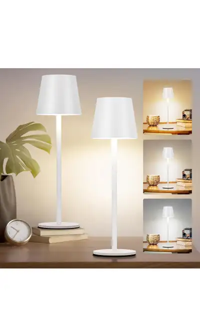 Faithorse Table Lamp (2Lamp), View more