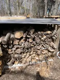 Apple firewood. Split and Dried 2 years 