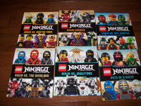 DK Lego Ninjago Masters Of Spinjitzu Kids Book Lot Hardcovers