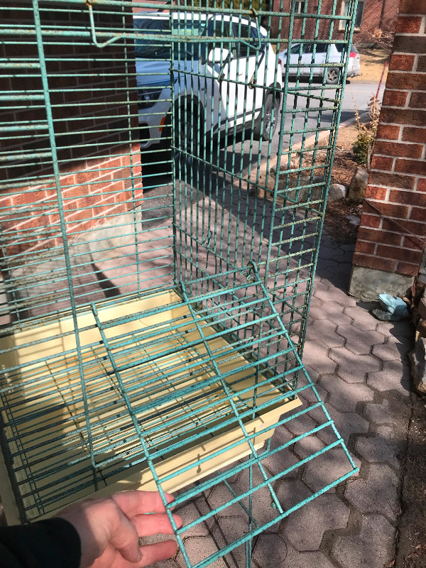 Vintage Wrought Iron Parrot Cage in Birds for Rehoming in Ottawa - Image 2