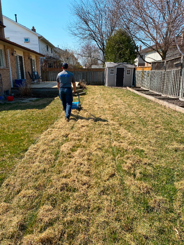 LAWN CORE AERATION! STARTING FROM $45 FRONT AND BACK! INSURED ! in Lawn, Tree Maintenance & Eavestrough in Hamilton - Image 2