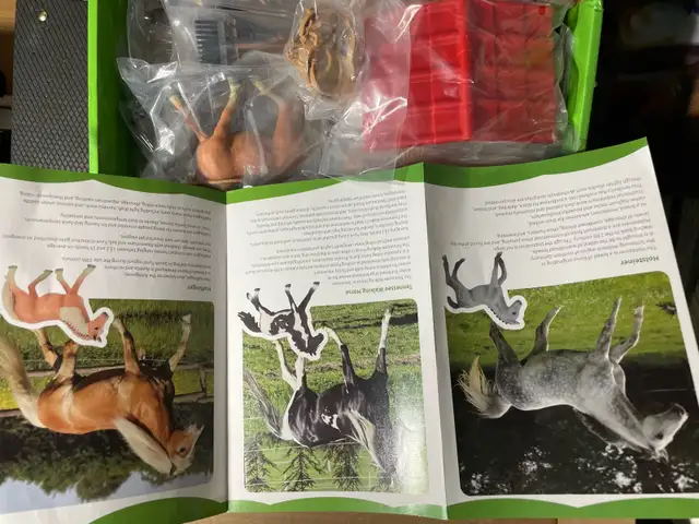 DuDuMo Horse Playset  in Horses & Ponies for Rehoming in City of Toronto - Image 9