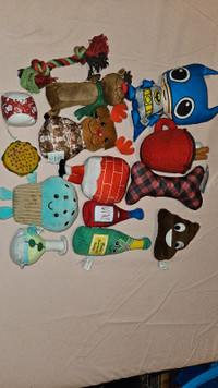 All brand new Sqeakky dog toys asking  $40 for all shown in pict