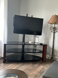Tv table stand with tv