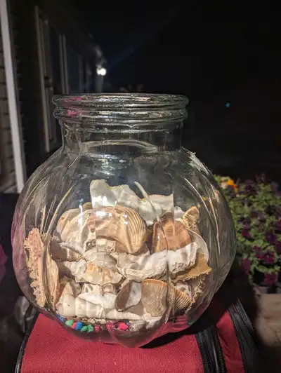 New jar with hundreds of Seashells, View more