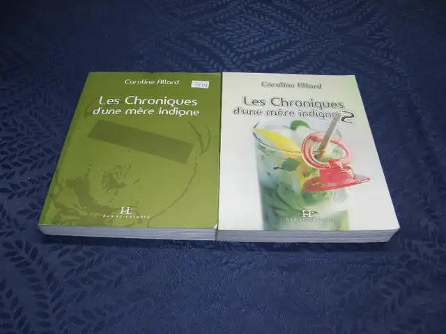 Ensemble de 2 Livre Chronique d'une Mère Indigne # 1 & 2 - Carol in Non-fiction in Québec City - Image 2