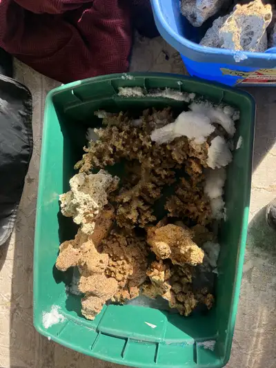 Free Dry rock for reef tank, View more