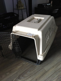 Dog kennel 