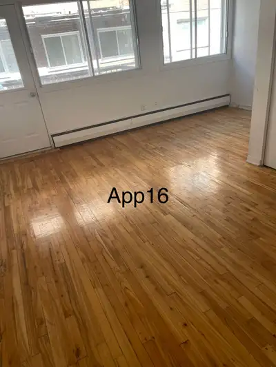 Grande Studio à louer à Ahuntsic