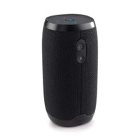 Link 10 Voice-activated portable speaker