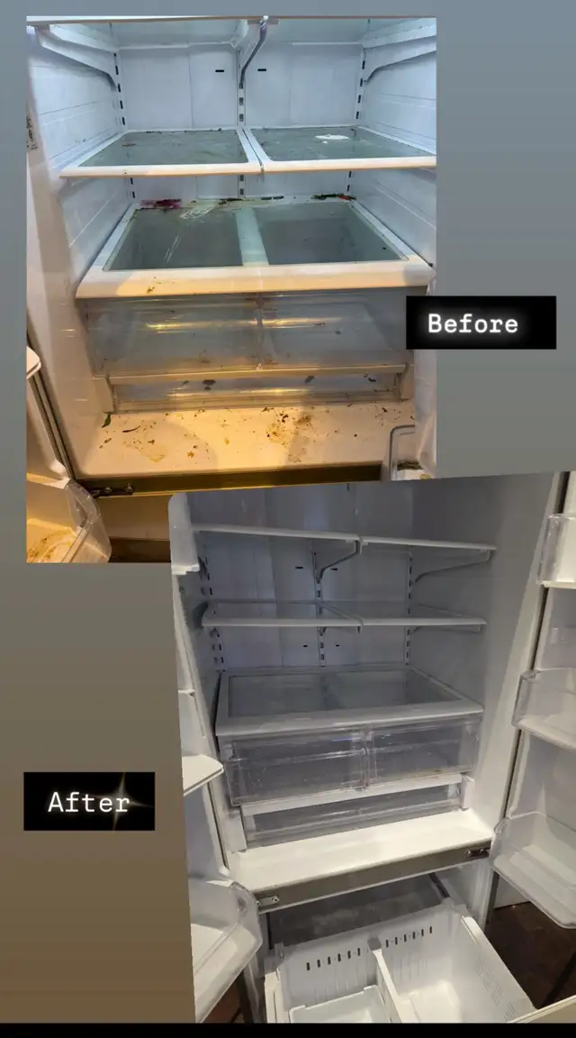 Cleaning589628694992660484