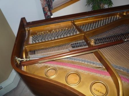 Baby Grande Piano in Pianos & Keyboards in Medicine Hat - Image 2