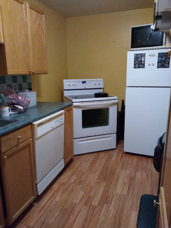 Basement apt for rent. Room Rentals & Roommates Dartmouth Kijiji
