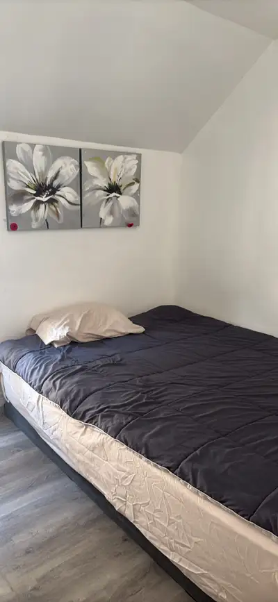 Two furnished rooms available for rent in Hamilton