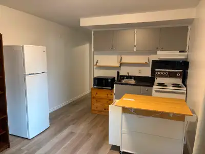 2 1/2 à louer - Cartierville - 1200$ tout inclus