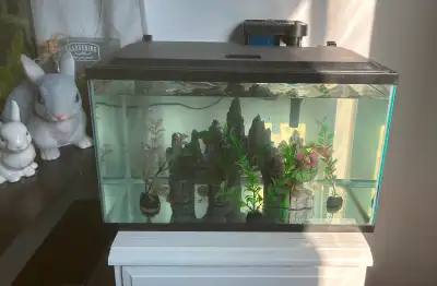 10gallon Marineland glass aquarium, tetra hood & Top fin 20 filter. Mountain decor & 3 fake plants....
