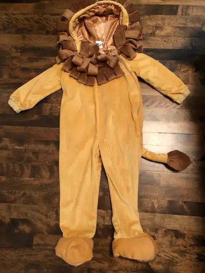 Adorable lion costume. Perfect condition. Fits age 4-6 years. Side zip. Foot paws go over shoes with...