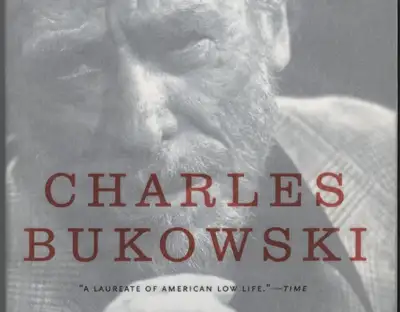 Bukowski massive book collection, View more