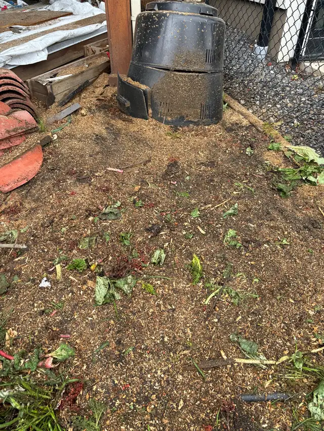 Tree removal/stump grinding62863721161859124