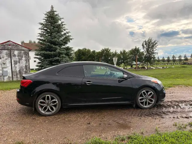 2014 Kia Forte497679062952192003