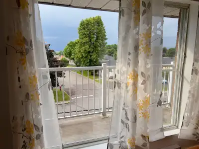 Un Bel appart 4 1/2. Libre 1 juillet. Fenêtres récentes (fenêtre 58"x43"). Situé dans un quartier ca...