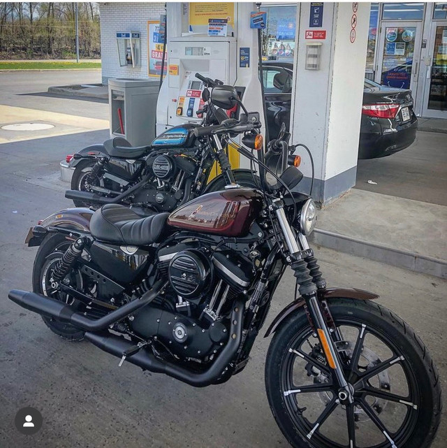 Harley davidson sportster 883xl 2019 in Touring in Gatineau - Image 2