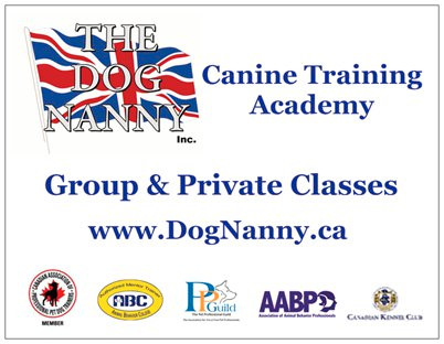 Dog Training Courses - Puppy to Advanced Obedience in Animal & Pet Services in Barrie - Image 3