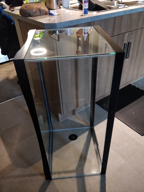 40 gallon reptile terrarium Reptiles & Amphibians for Rehoming