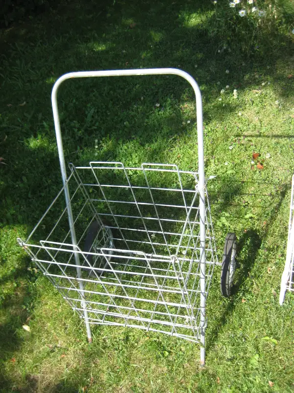 Portable cart(s)