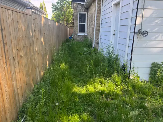 Grass Cutting529384748247296004