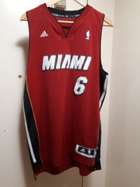 LEBRON JAMES JERSEY