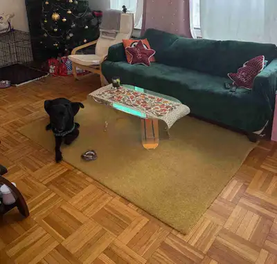 Yellow carpet mat  , View more