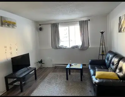 Chambre meublée à sous-louer dans un appartement calme et entièrement équipé. ✅ Disponible dès maint...