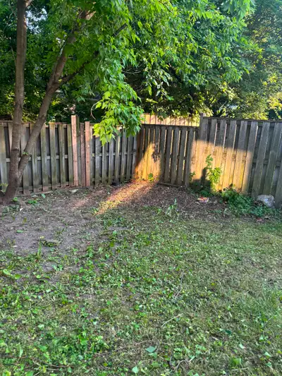 Gardener needed (Yonge & Sheppard), View more
