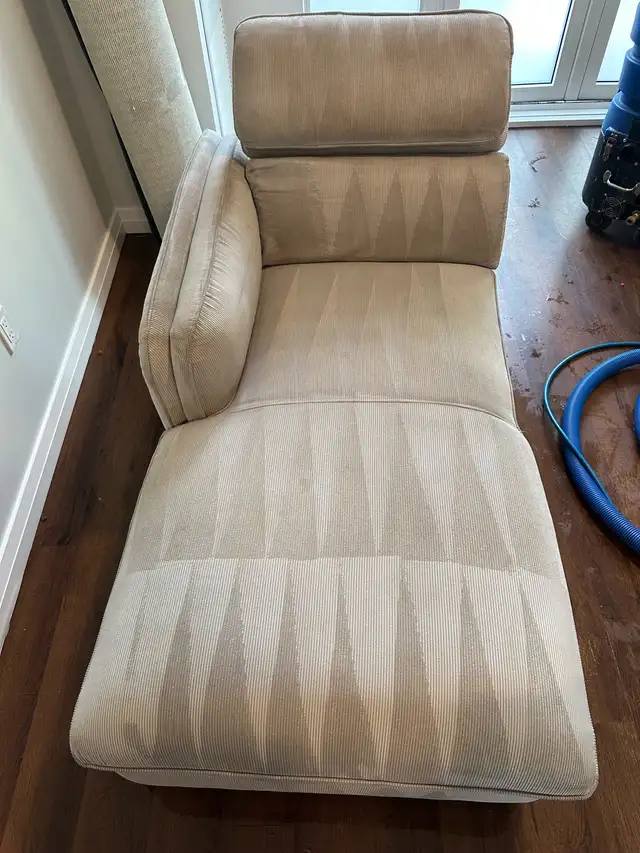 sofa & carpet shampoo 605939388908185601