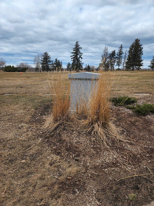 Family Estate (holds 8 Cremated Remains) in Health & Special Needs in Saskatoon - Image 4
