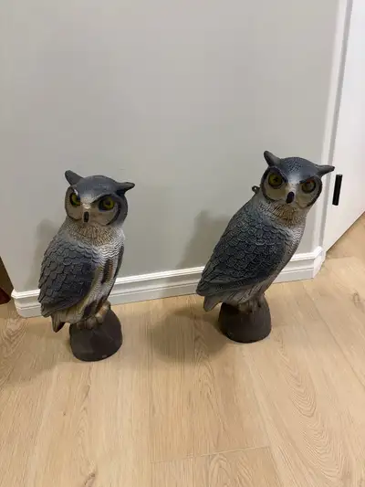 Owl decoys, View more