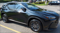 Rims and Tires – Lexus NX 2024