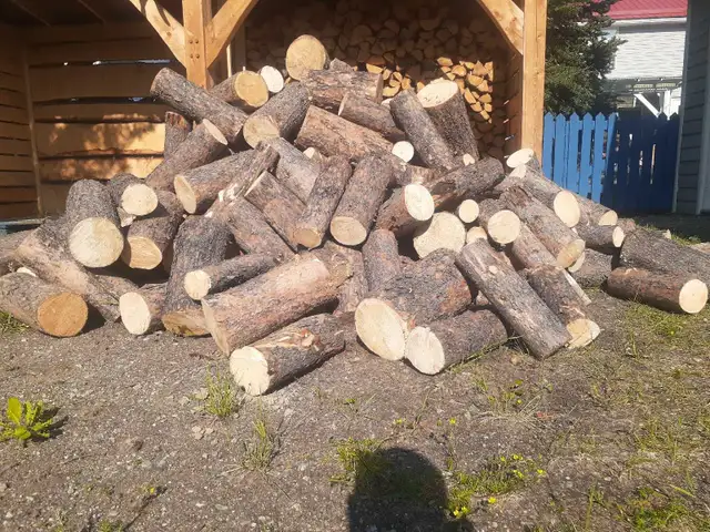 Firewood