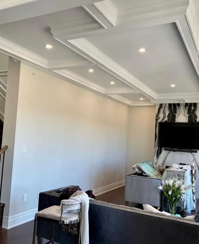 Professional Painters437431607818332163