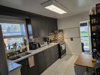 3 Bedrooms House Main Fl Rent, Birchmount/St. Clair/Danforth
