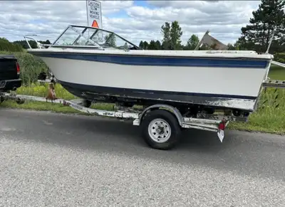 19' overall length. 66" between tires. Tires are new. LED lights. Bearing buddies. Boat has been scr...