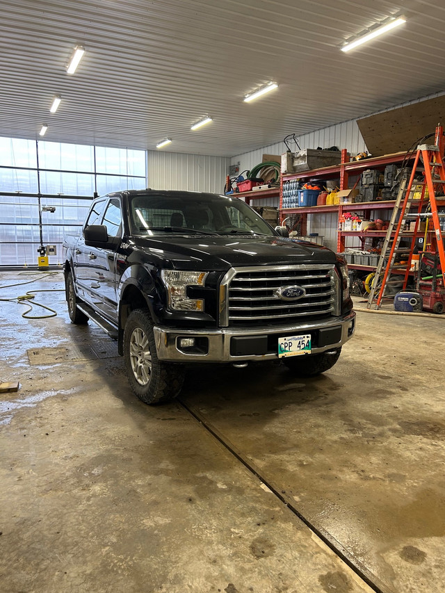 Ford F150 in Cars & Trucks in Winnipeg - Image 3