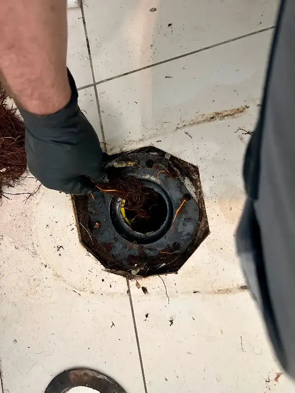 PLUMBING SERVICE, DRAIN REPAIR, DRAIN SNAKE 647-785-5500 in Plumbing in City of Toronto - Image 3