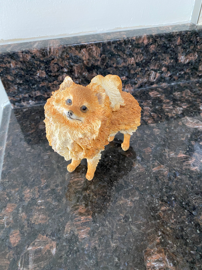 Pomeranian Statue - Standing Pomeranian, New Condition, $10.00 Pick up in Port Rowan