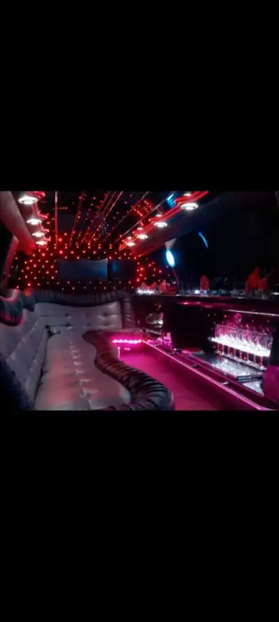 BACHELORETTE EVENTS- WINE TOURS. DINNERS, WEDDINGS, BIRTHDAYS' EVENTS. TOURING ONLY NIAGARA AREA. FO...