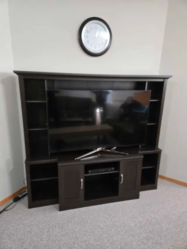 TV Stand Bookcase in Bookcases & Shelving Units in Strathcona County - Image 4
